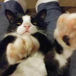 Meet your Posher, Stacy